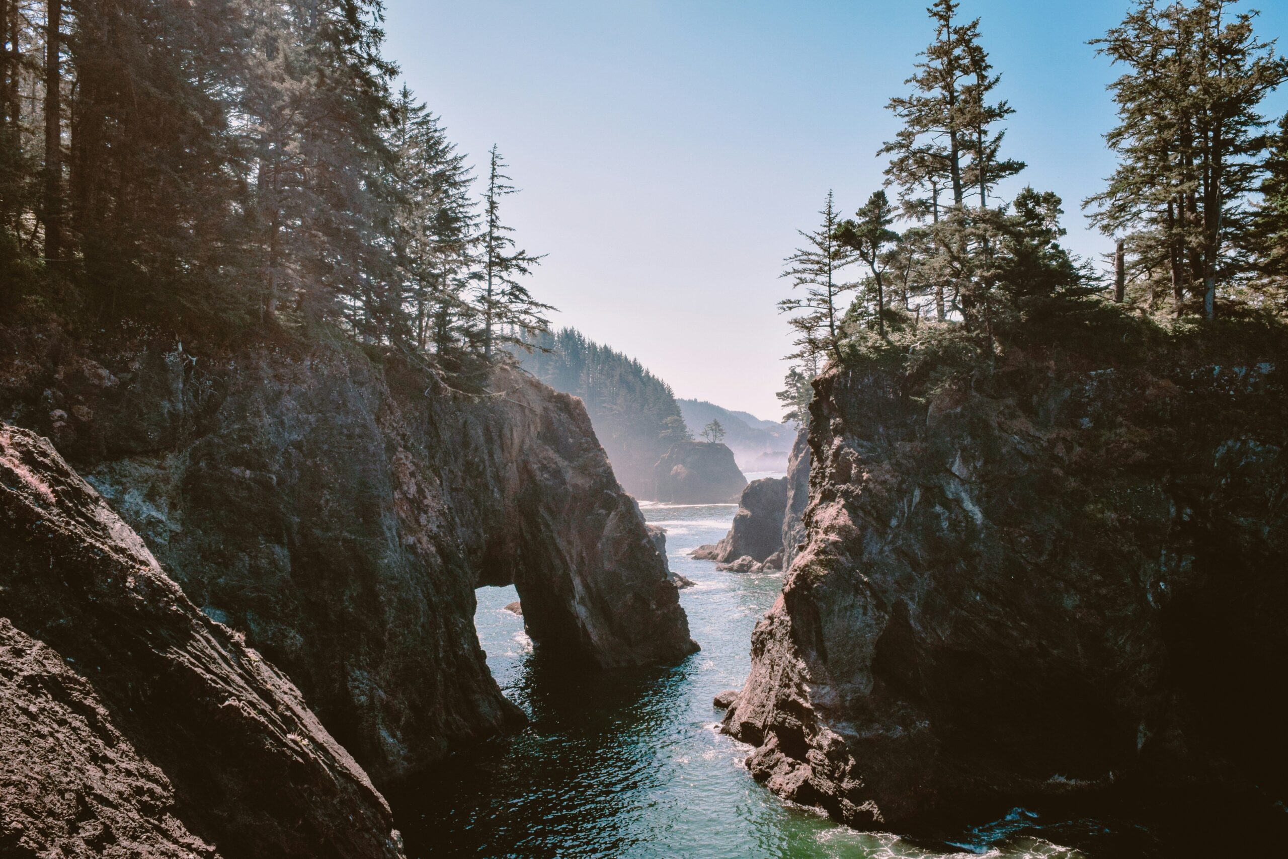 Rock arch and cliffs along the forested coastline of Oregon with ocean water below.