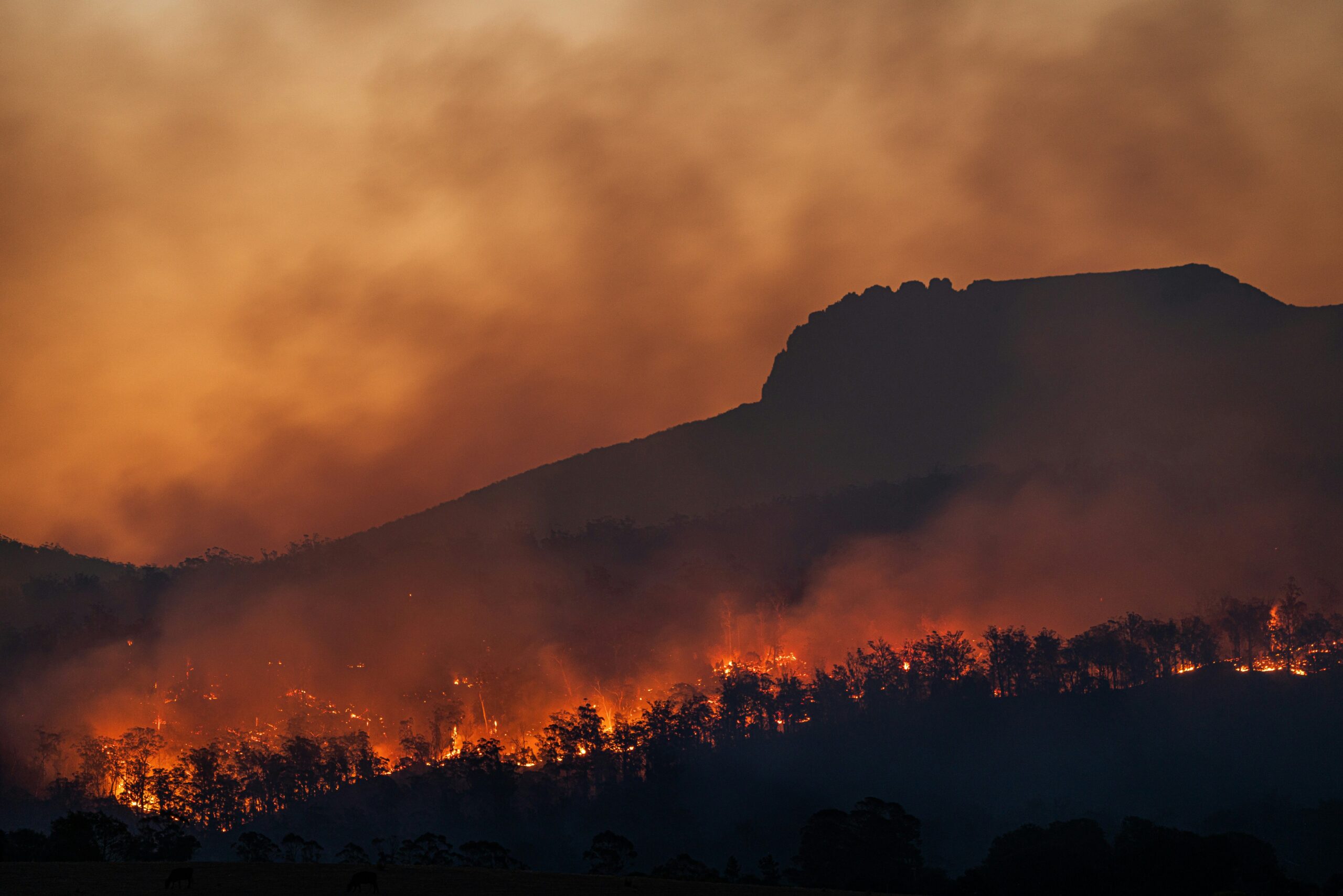 Bushfire burning through forested hills beneath a mountain silhouette in Tasmania.