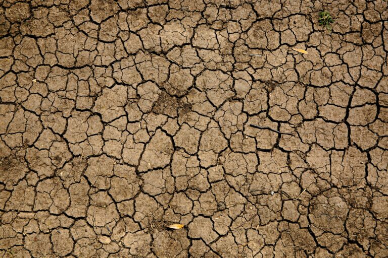 Dry cracked soil surface caused by drought conditions.
