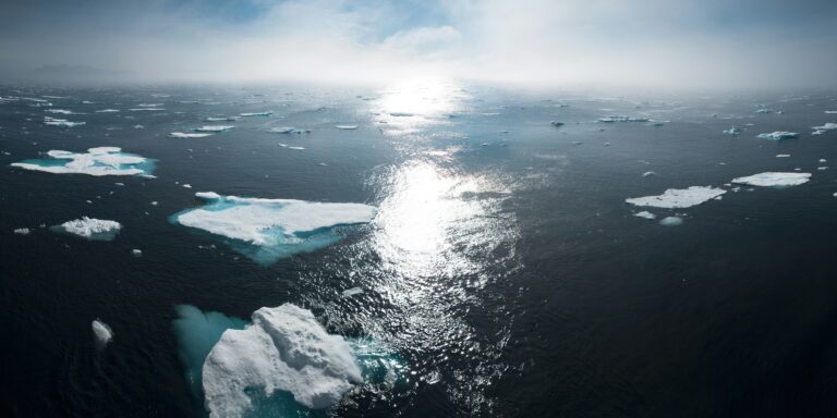 Floating sea ice scattered across open ocean under bright sunlight.