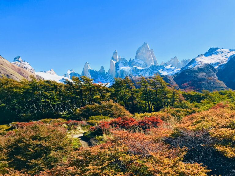 Jagged snow-capped mountain peaks rising above a forest with autumn-coloured vegetation in the foreground.