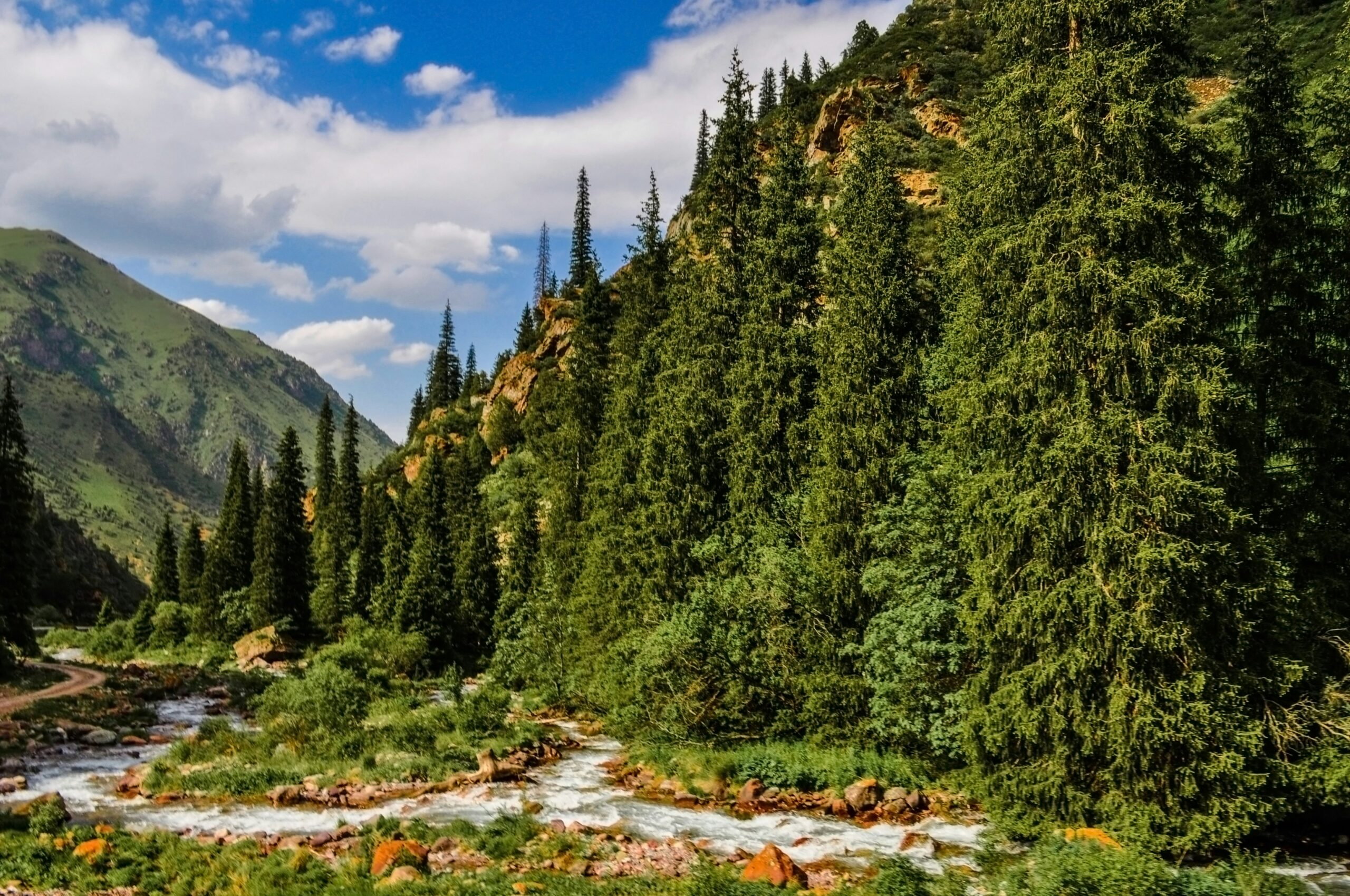 Fast-flowing river winding through a valley with dense evergreen forest and steep mountain slopes.
