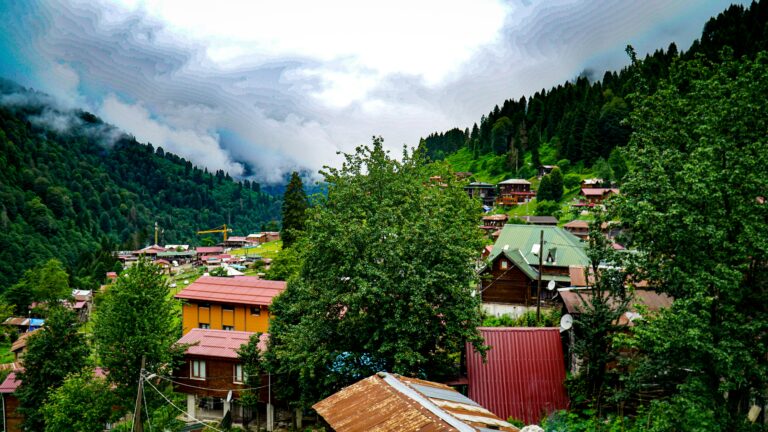 Cluster of houses in a mountain village surrounded by dense forest and misty hills.