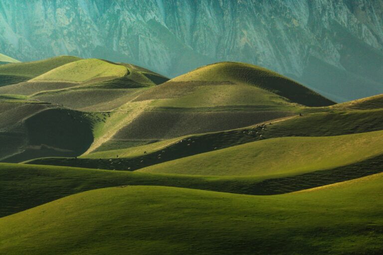 Rolling green hills with soft shadows and a mountain backdrop.