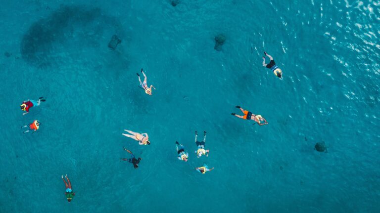 People snorkelling in clear blue water viewed from above.