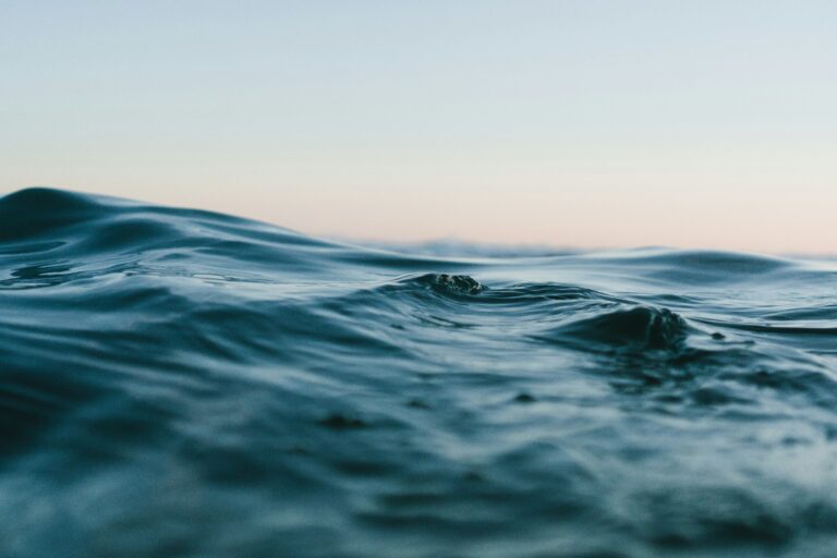 Close-up view of gentle ocean surface waves under soft light.