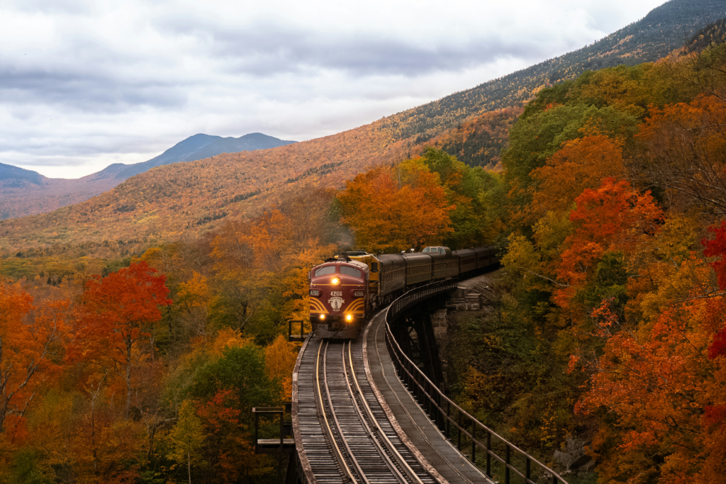Train travelling through colourful autumn forest and mountain landscape in the USA.