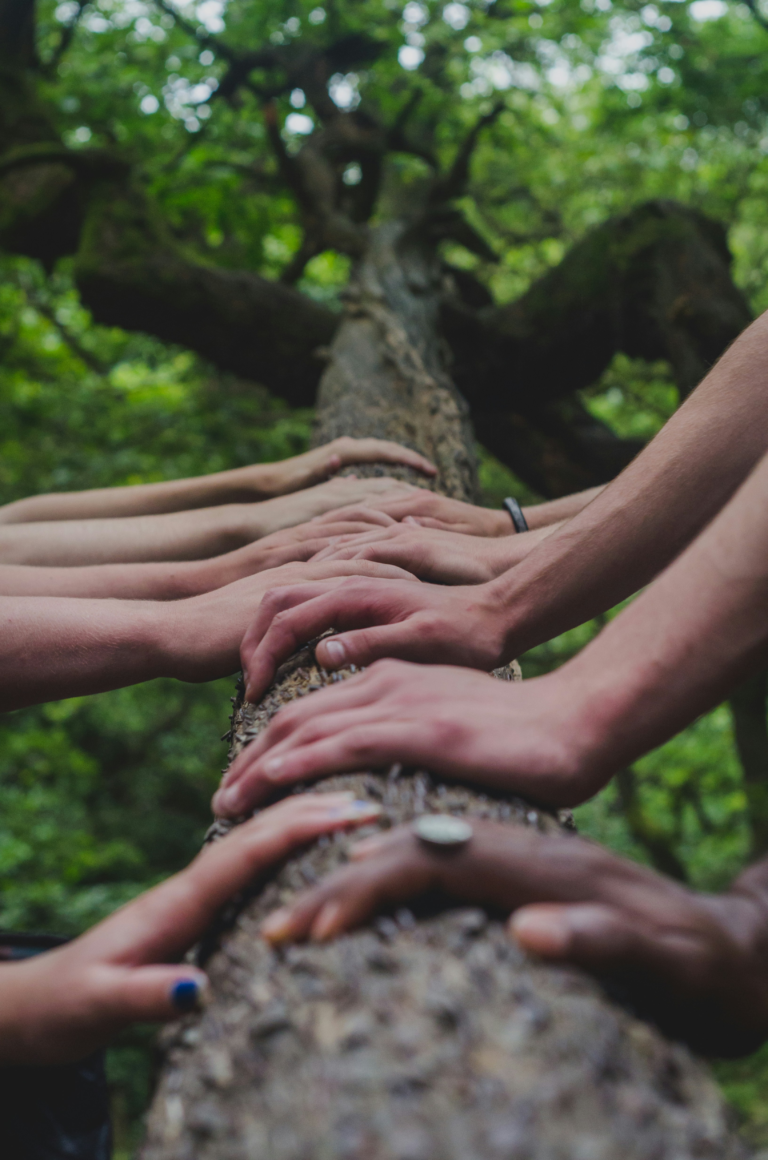 Several people place their hands on the trunk of a large tree in a green forest setting.