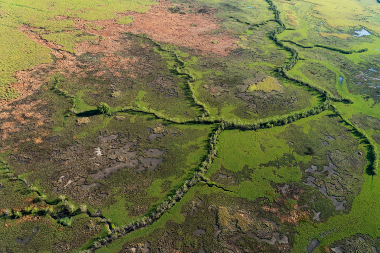 Aerial view of wetlands in Kakadu National Park, showing winding waterways, marshes and native vegetation.